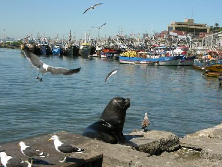 Talcahuano - Hafengebiet bei Concepcion