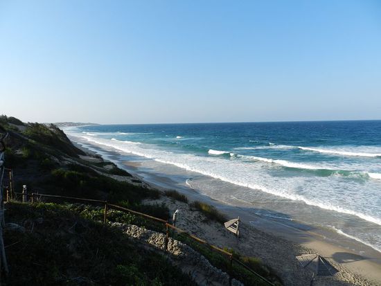 Ausblick vom Bamboozi