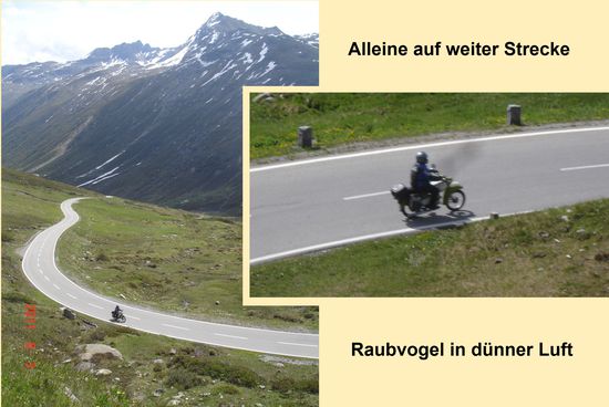 Simson Habicht läßt fast alles hinter sich