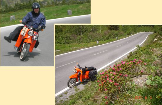 Durch Kehren an bühenden Alpenrosen vorbei.