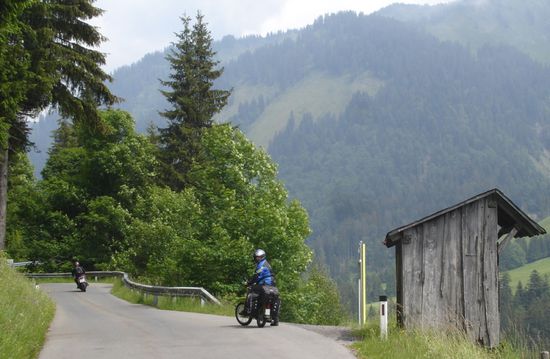 Stoney wartet auf den Fotograf
