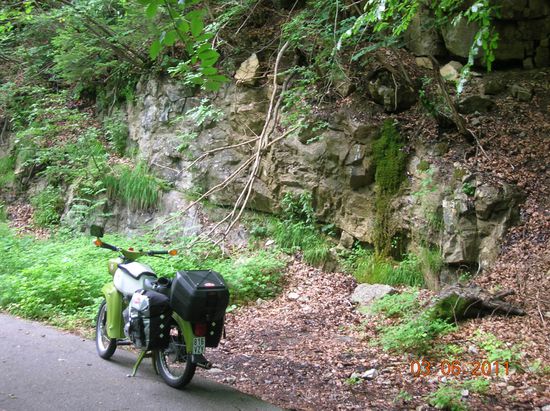 Stoney im "Schluchten-Gebüsch"
