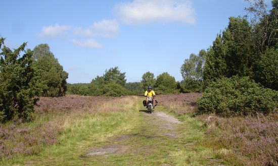 Abstecher in die Pampa