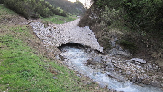 Quasi die Gletscherzunge