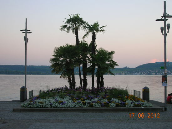Abendstimmung am Überlinger See