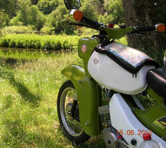 Rast an der oberen Lauter