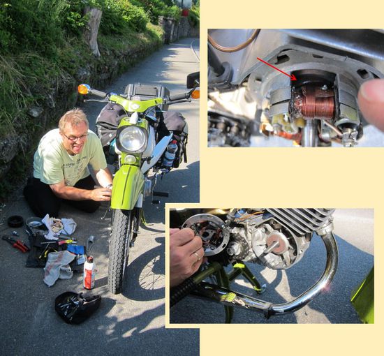 Stoney und der "ver(be)hinderte" Habicht