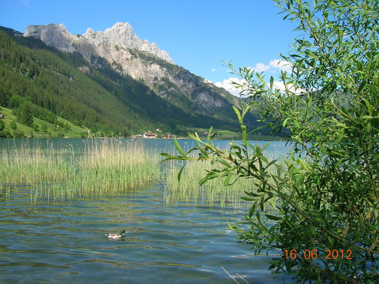 Haldensee im Tannheimer Tal
Bilder zum Haldensee