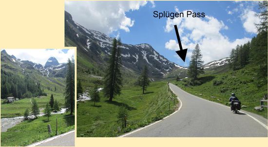 Der Habicht im Endspurt