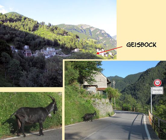 Am Hang den Weg zurück ... mit Überraschungen