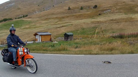 Schlafendes Murmeltier voraus?