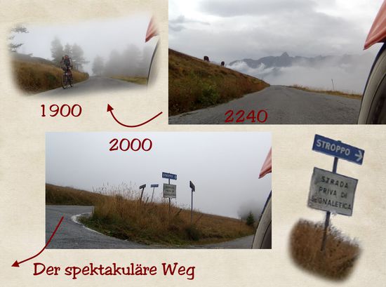 Leider die falsche Entscheidung beim Abbiegen.