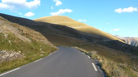 Murmeltiere in Massen.