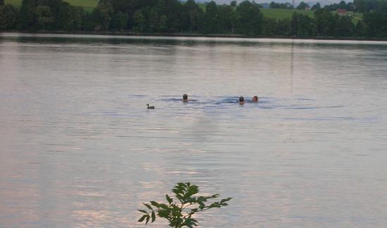 Badenixen mit Quitsche-Ente
