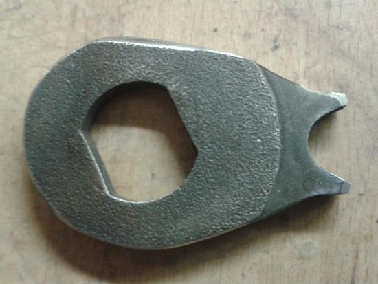 Zwei-Zahn-Bergritzel  co.Flaps