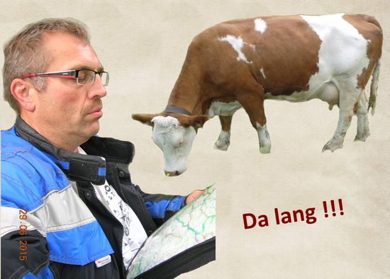 Prüfenden analytische Blicke.