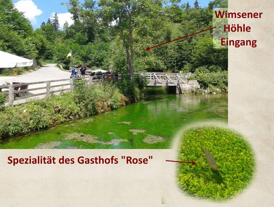 Eine der Spezialitäten kommt aus einer kleinen Forellenzucht keine 100 m entfernt.