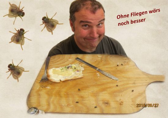 8-10 Fliegen pro Person