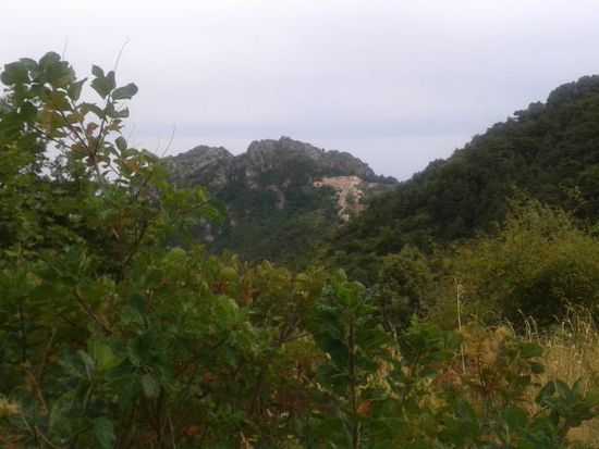Bilck aus der Pampa auf Sainte Agnes