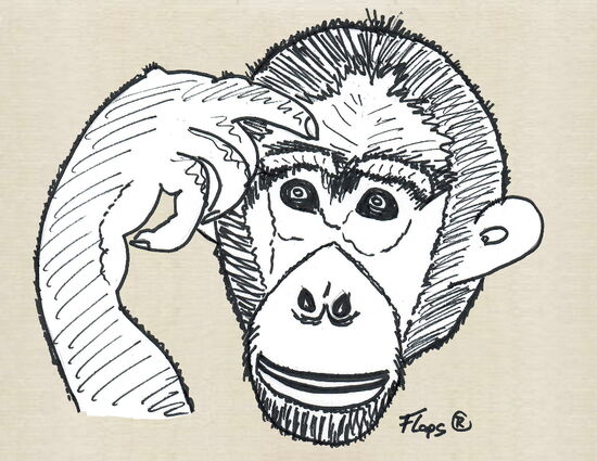 Die Spinnen die Menschen....