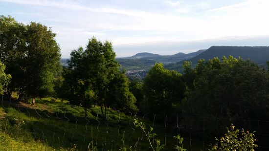 Über Donsdorf hoch zur Kuchalb