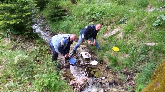 Das Bächlein hinter der DIstelhalde