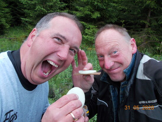 Die allmorgendliche Zwiebelkur ... oder das Zwiebelritual.