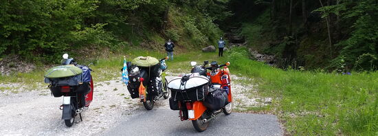 Suche nach den Trompetenkäfern.