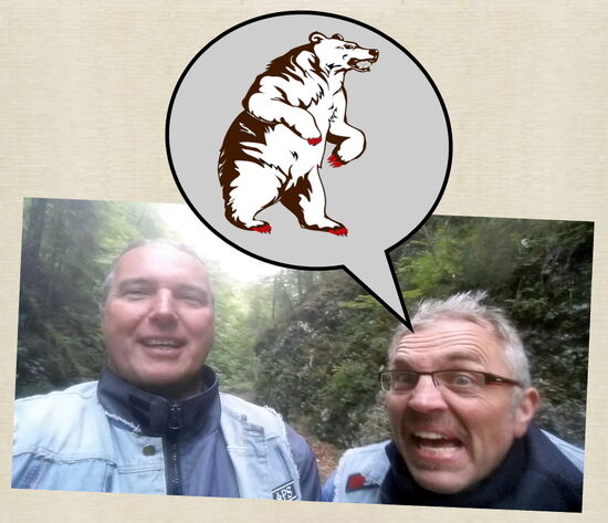 Da kommt der Bär