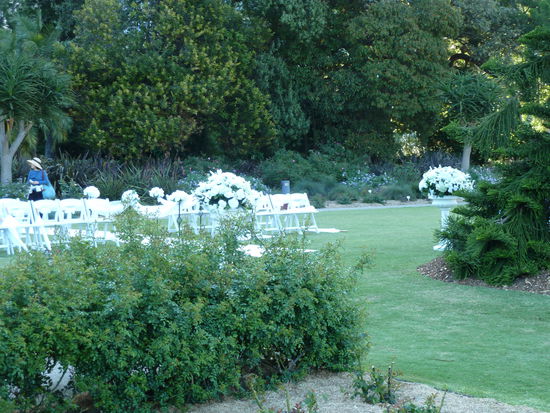 Hier wurde gerade fuer eine Hochzeit im Botanischen Garten aufgebaut. Sooo romantisch...