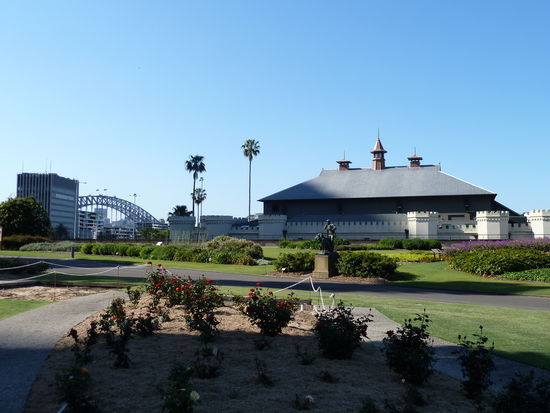 Botanischer Garten / Rosen