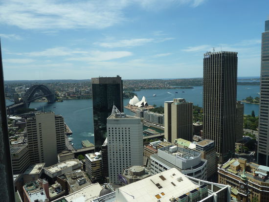 Ausblick vom Australia Square