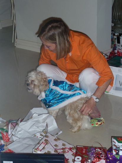 Die verzogenen Hunde... Mit  neuem Ausgeh-Mantel...