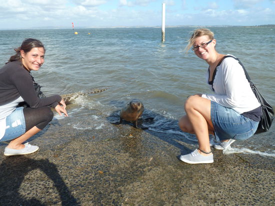 da kam ein kleiner Besucher aus dem Wasser und er hatte nicht mal Angst... 