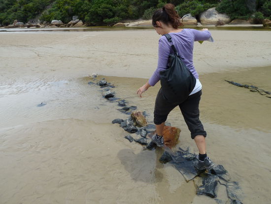 bloss nicht reinfallen 