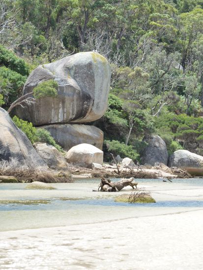 erkennt ihr den Wal?