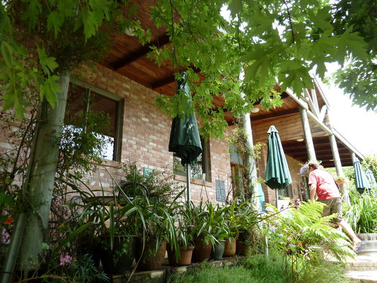 Um Melbourne rum sind viele kleine, aber sehr gute, Weinanbaugebiete... Wir haben uns auf eine kleine Wine-tasting-tour gemacht... 