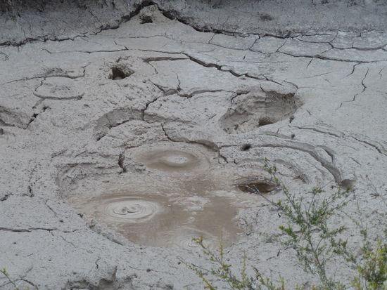 Die Mudpools waren das beste  Wenn sogar Schlamm kocht...