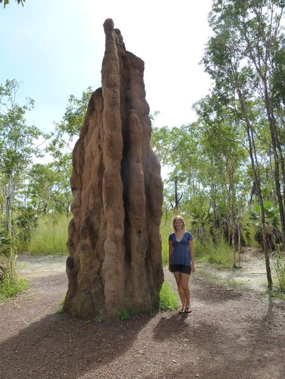 Cathedral Termit Mouds