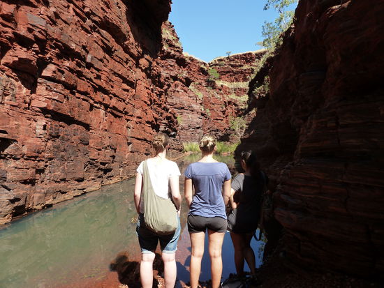ja - da mussten wir durch... 