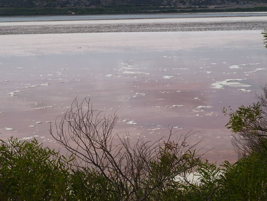 Der Pink Lake lag auf unserem Weg - mussten wir unbedingt sehen 