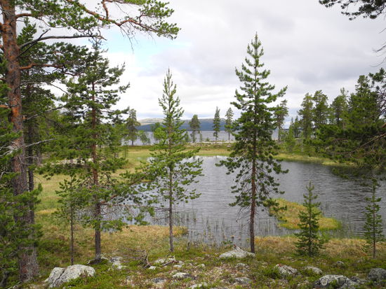 Zu Fuß unterwegs im Gutulia Nationalpark