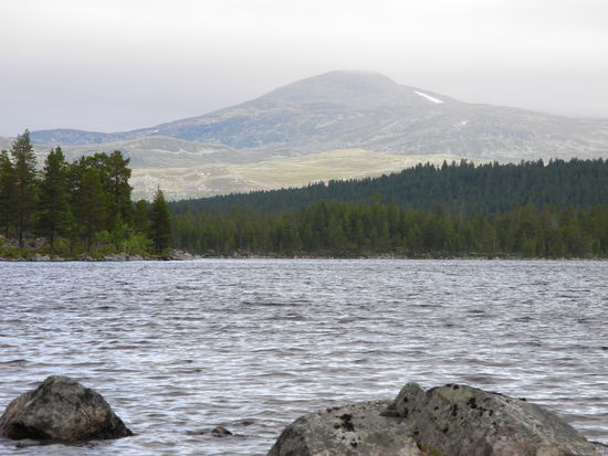 Aus der Bergtundra kam ein ein eisiger Wind
