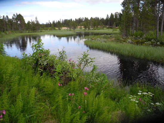 An der Sorka