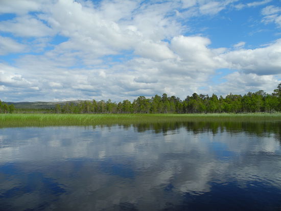 Im Mündungsdelta der Sømaa
