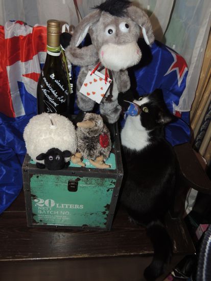 Unsere Reisevorbereitungen werden kritisch betrachtet .
Daisy muss aber in Wien bleiben.