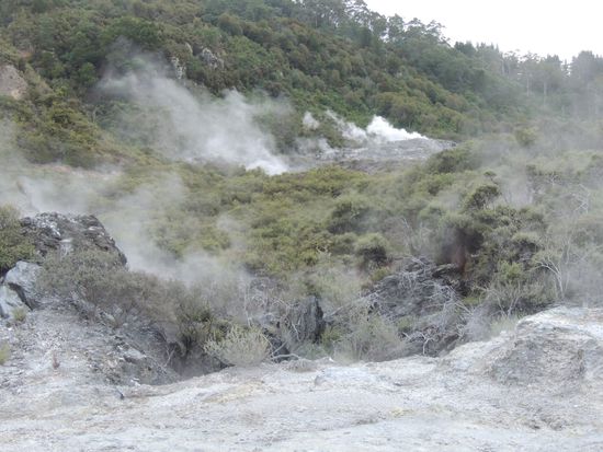 Die geothermische Lanschaft in Te Puia - überall dampft und raucht es.