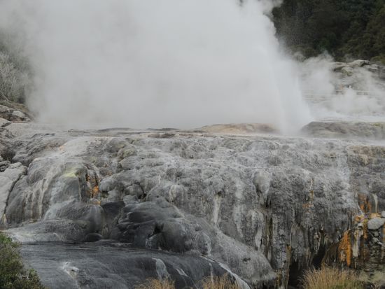 Der Pohutu-Geysir