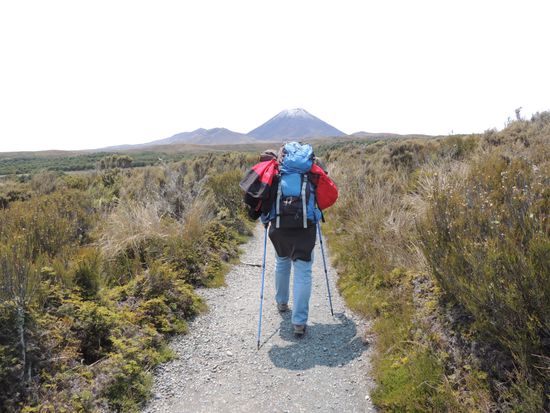 Der Weg ist das Ziel ... Im Hintergrund sieht man den ersten Vulkan, den Mount Ngauruhoe (der hohe!).