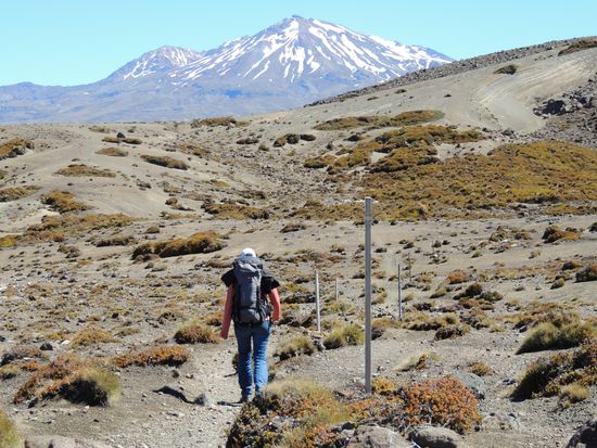 Ausgezeichnete Weg-Markierung. Im Hintergrund sieht man den Mount Ruapehu, den dritten Vulkan unseres Great Walks.